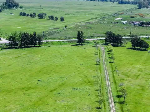 CAMPO EN VENTA FLORENCIO VARELA, 135 HECTAREAS,