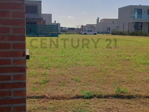 Av de la Cultura 100, Piso 0