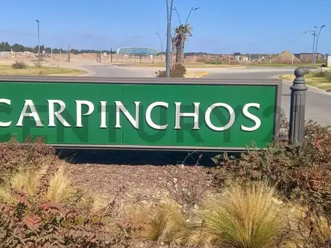 Lote interno Barrio Carpinchos Nordelta