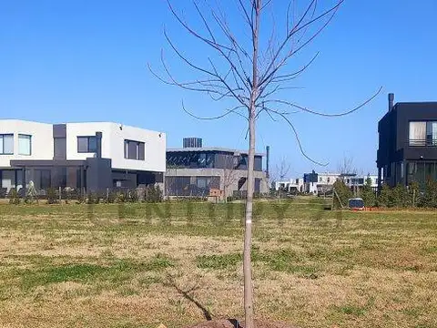 Av de la Cultura 100