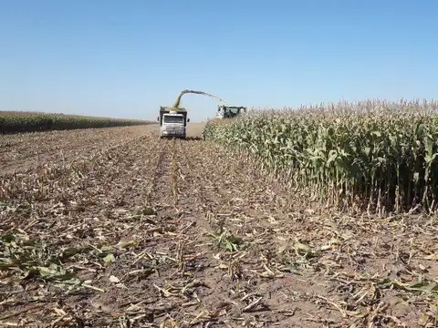 San Jerónimo Norte y Santa Maria Norte 31,23 Ha Agrícola y Ganadero