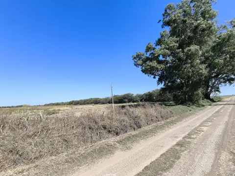 San Jerónimo Norte y Santa Maria Norte 31,23 Ha Agrícola y Ganadero