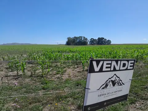 Campo  En Peralta 77 H