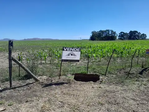 Campo  En Peralta 77 H