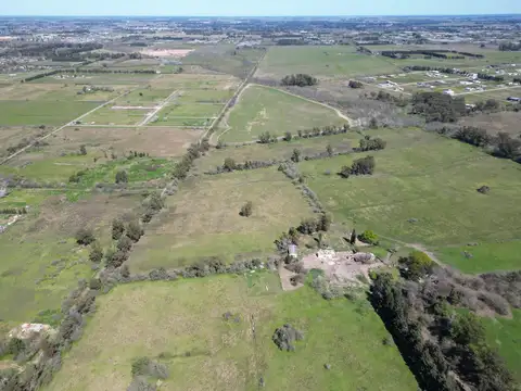 Fracción en VENTA | 16 hectáreas | 513 y 163 J. Gorina