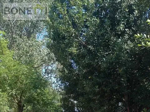 Granja de cerdos en Gorchs, a pocos kilómetros de Ruta Nacional 3