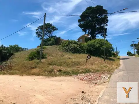 Avenida Martin Pescador y Del Hipocampo
