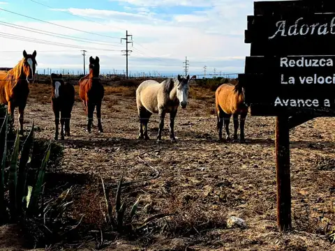 Terreno en Venta en Carrizal de Abajo, USD 12.000