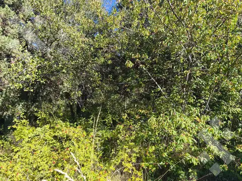 Terreno en Venta de 2457,0 m2