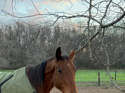 Terreno en venta en Club de Campo La Ranita