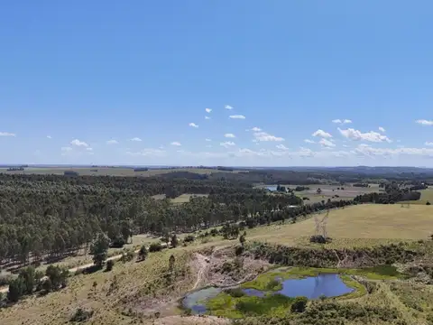Campo (viñedo) en venta de 62 hectáreas  ubicado en Atlántida