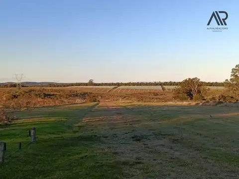 Campo (viñedo) en venta de 62 hectáreas  ubicado en Atlántida