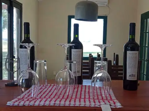 Campo (viñedo) en venta de 62 hectáreas  ubicado en Atlántida