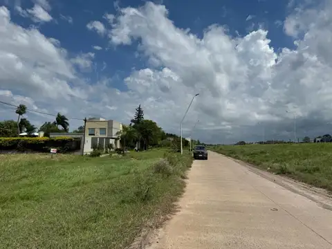 Ruta 16 100