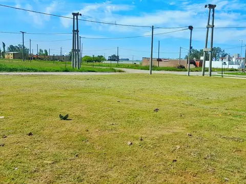 Barrio Abierto il Soggiorno - Lote N° 16