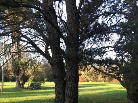Terreno en Venta de 2500,0 m2
