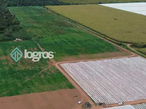 CAMPO EN VENTA - 120 has - Orán, Salta