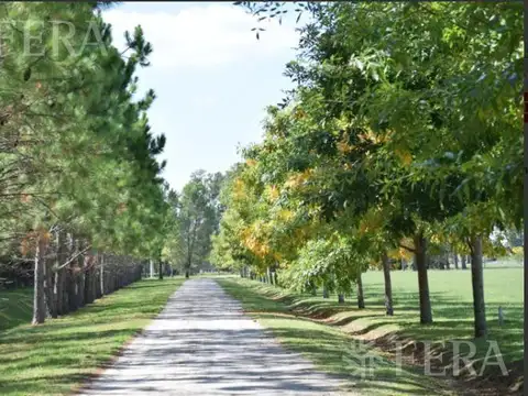 Terreno en Venta de 1833,0 m2