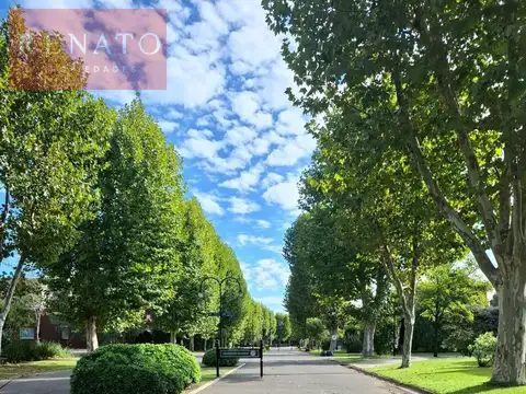Av. Patricias Argentinas  al 4500