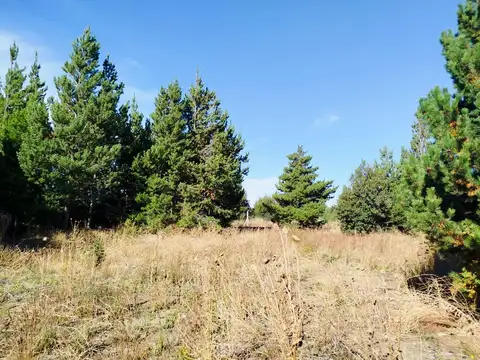 Terreno en Venta 12  mts Frente