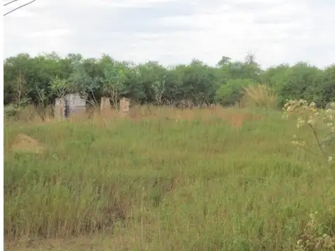 Isla excelente uso ganadero en Villa Constitución.