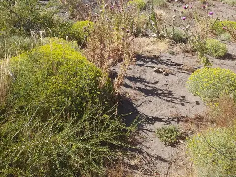 Terreno en Venta en San Martin De Los Andes, USD 56.000