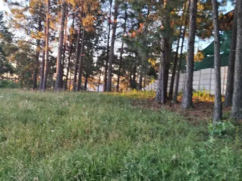 Terreno en Concordia
