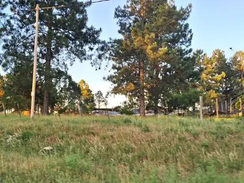 Terreno en Alquiler 70  mts Fondo