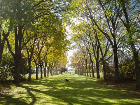 San Antonio de Areco - Increible chacra 7 Has