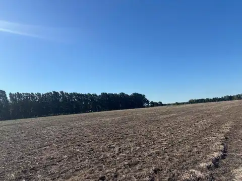 Campo en venta 17 has agrícolas luz enfrente, arboleda.