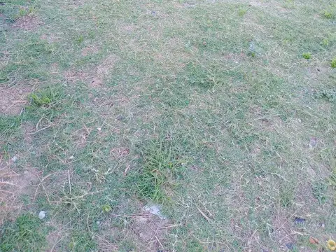 Terreno en Venta en San Ignacio, USD 19.999