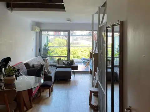 julian alvarez 2800 hermoso duplex con una vista increible al parque, balcon terraza, impecable, baño y toilete, super luminoso amenitis