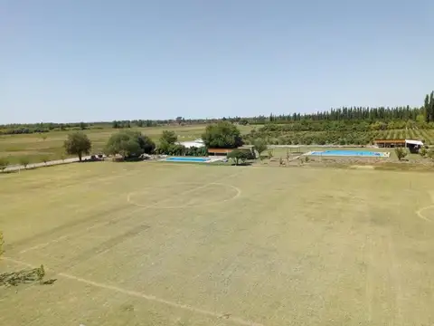 Venta complejo piletas, quinchos, casa Gral Alvear
