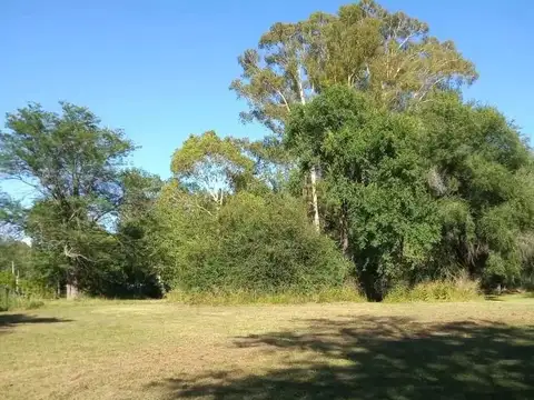 Sauce Grande y colec N km71,5