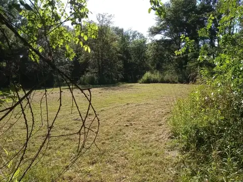 Sauce Grande y colec N km71,5