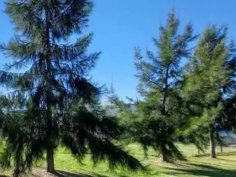 Terreno en Venta en El Naudir, USD 71.000