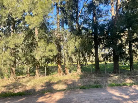 Terreno en Venta en Gomez, USD 62.000