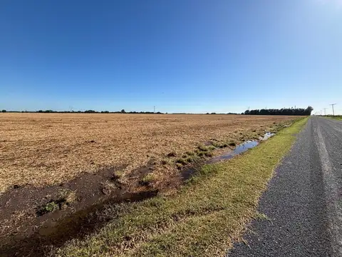 CAMPO EN VENTA GENERAL LAGOS