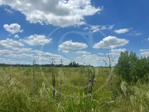 CAMPO EN VENTA ETCHEGOYEN 5 HECTAREAS EN ESQUINA