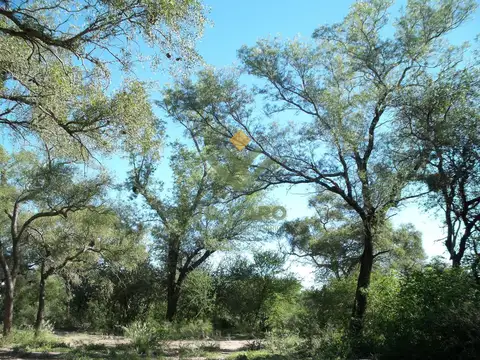 Campo 2.124 ha sobre RN34 | Inversión en tierra con potencial ganadero y de triple impacto | Santiag