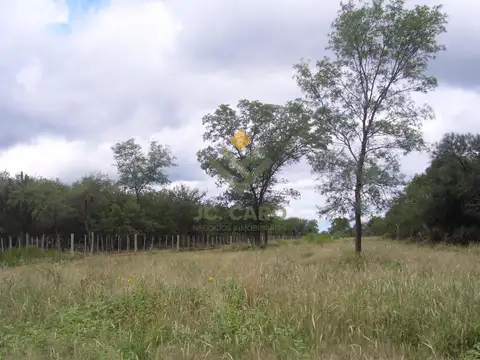 Campo 2.124 ha sobre RN34 | Inversión en tierra con potencial ganadero y de triple impacto | Santiag