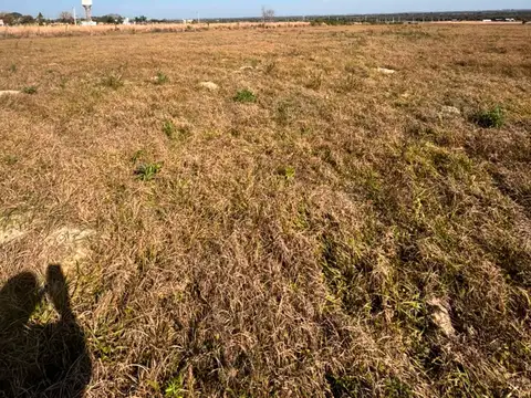 Terreno en Venta en Colonia Carolina, USD 7.900