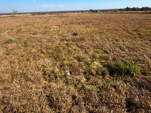 Terreno en Venta de 1000,0 m2