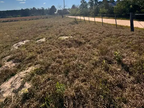 LOTES EN VENTA 100% FINANCIADO EN COLONIA