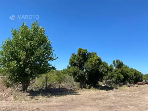 Terreno en Venta en Dique Luján, USD 6.700.000