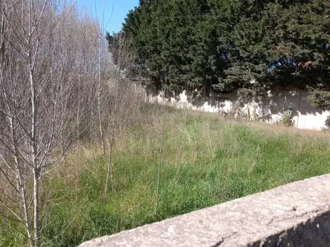 Avenida Libertad 9000