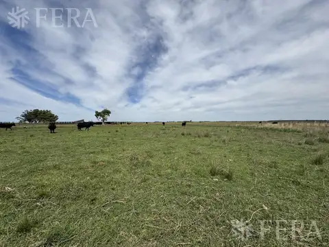 PARAJE GANDARA,CHASCOMUS.