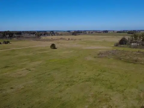 Campo en Venta Agrícola