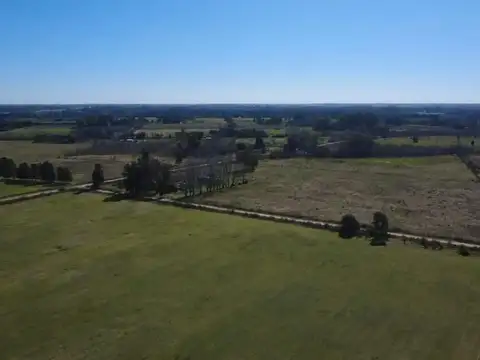 Campo en Venta Agrícola