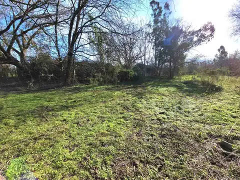 Terreno en Venta en Dique Luján, USD 500.000